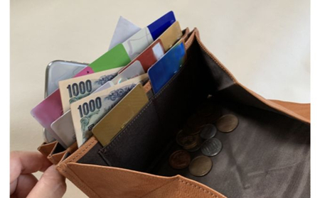 オイルヌメゴート （山羊）革（チョコ）【財布 財布 長財布 職人技 風琴マチ お洒落 スマホ収納 お祝い ギフト 贈り物 贈答 革小物 高品質 使いやすい 父の日 母の日 プレゼント 羊革】