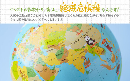 こども環境地球儀 ハトホル 球径20cm | おもちゃ 草加市