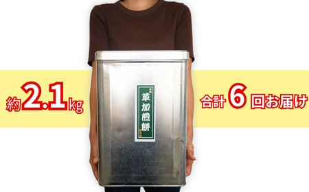 訳あり 一斗缶 草加せんべい【6回定期便】（割れ、カケ、偏り等有)| せんべい 煎餅