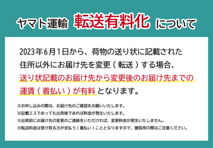江戸切子 山田のゆり作 八角篭目文様 M-250-AR 金赤琥珀 | 江戸切子 グラス タンブラー 芸術 埼玉県 草加市