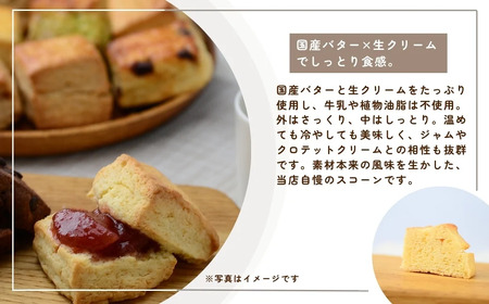 スコーン 生クリームとバターのプレミアムスコーン 12個セット | スコーン 埼玉県 草加市