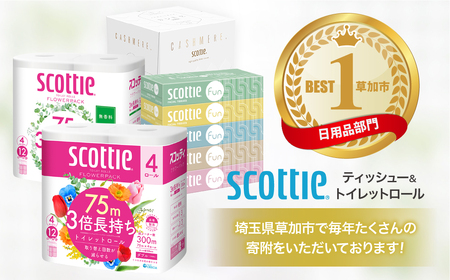 トイレットペーパー 【定期便 3ヶ月×2回】 ダブル スコッティ 草加市