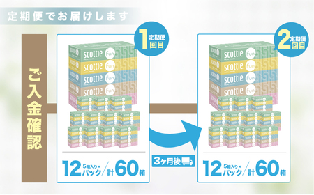 ティッシュペーパー 【 定期便 3ヶ月×2回 】 スコッティ ティシュー ファン 草加市