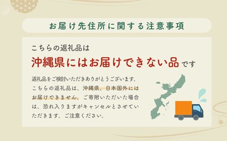 ティッシュペーパー 【 定期便 3ヶ月×2回 】 スコッティ ティシュー ファン 草加市