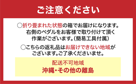 【ホワイト】電動アシスト自転車 トランスモバイリーNEXT206