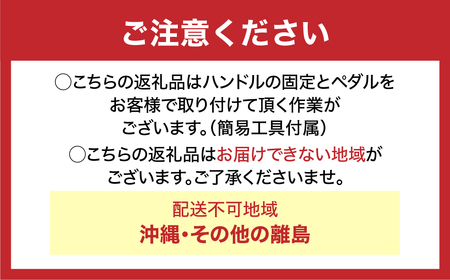 【ベージュ】電動アシスト自転車 ルノーマルセイユヌーヴォ206E