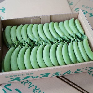 【2026年5月中旬から順次発送】【朝獲れ新鮮】北海道 せたな町産 スナップえんどう 2kg 旬 炒め お弁当 みそ汁 パスタ 天ぷら おつまみ 野菜 ふるさと納税