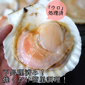 【海鮮BBQにおすすめ】北海道産 ほたて片貝 10枚 ウロ処理済み 洗浄済み殻つき 下処理済 バター焼き ご飯 冷凍 旬 おつまみ 海鮮 せたな町 ふるさと納税