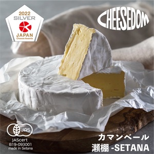 CHEESEDOM(チーズダム)のチーズ5種セット