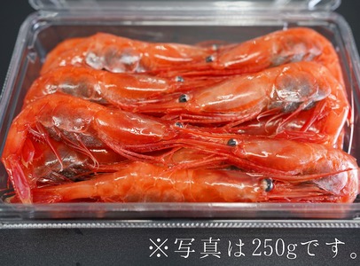 【北海道産】お刺身甘エビLサイズ500g