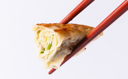 北越ぎょうざ詰め合わせ（中） ／ 餃子 ギョウザ ギョーザ 北越ぎょうざ お野菜多めぎょうざ 越谷ねぎぎょうざ 中華惣菜 セット 旨み 肉汁 埼玉県 No.007