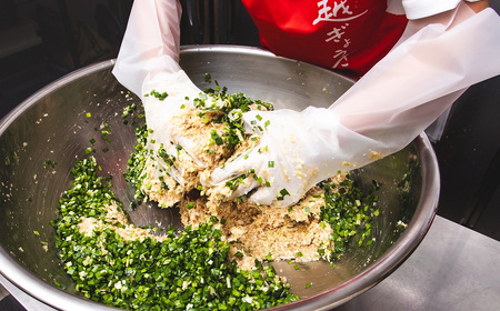 北越ぎょうざ詰め合わせ（中） ／ 餃子 ギョウザ ギョーザ 北越ぎょうざ お野菜多めぎょうざ 越谷ねぎぎょうざ 中華惣菜 セット 旨み 肉汁 埼玉県 No.007