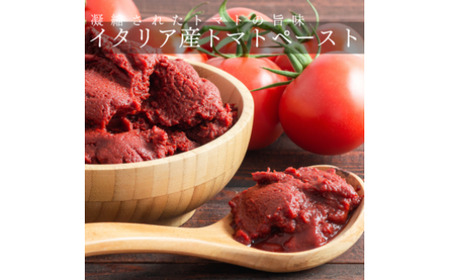 『隠れ家シェフ手作りスイーツ』濃厚塩トマトチーズケーキ　お酒や料理と合わせて楽しむ甘くない”おつまみ”　Flavor Cake ／ 塩系チーズケーキ チーズ感覚 こだわり素材 イタリア産トマト 濃厚 酸味 アレンジ 埼玉県 No.009