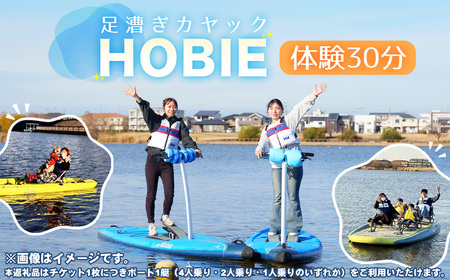 No.273 HOBIE体験（30分）チケット