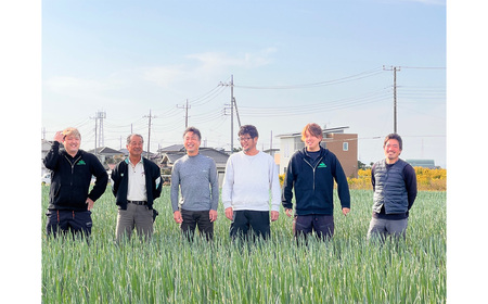 越谷ねぎ（白ねぎ2.5kg） ／ ネギ 葱 白ネギ 野菜 甘み 辛み 産直 鍋 煮物 炒めもの アヒージョ 薬味 万能 埼玉県 No.323
