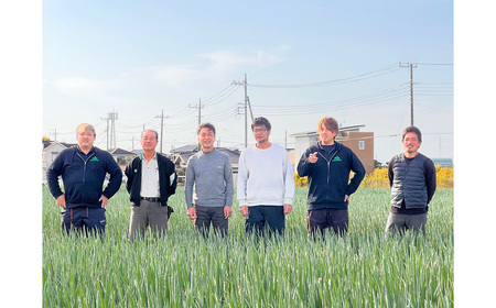 越谷ねぎ（白ねぎ2.5kg） ／ ネギ 葱 白ネギ 野菜 甘み 辛み 産直 鍋 煮物 炒めもの アヒージョ 薬味 万能 埼玉県 No.323