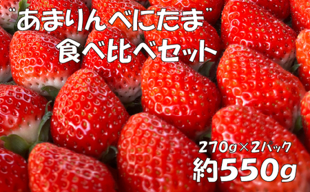 【あまりん×べにたま】食べ比べセット　550g ／ いちご 苺 食べ比べ 国産いちご 甘い 酸味 バランス 香り みずみずしい 高設栽培 農園直送 フルーツ ギフト デザート 自宅用 埼玉県 No.331