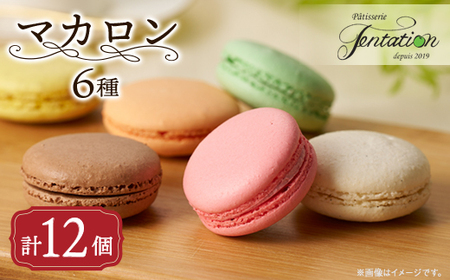 タンタシオンのマカロン12個セット_菓子・スイーツ 焼き菓子  _【配送不可地域：離島】【1522129】