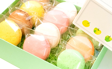 タンタシオンのマカロン12個セット_菓子・スイーツ 焼き菓子  _【配送不可地域：離島】【1522129】