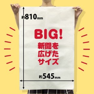 新聞になれなかった新聞(白 20kg相当) 中日新聞・東京新聞印刷工場直送!【1315716】