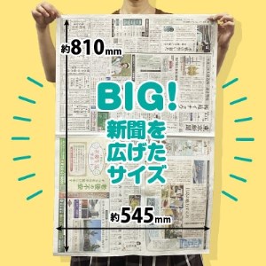 新聞になれなかった新聞(黒=印刷済み 20kg相当) 中日新聞・東京新聞印刷工場直送!【1319494】