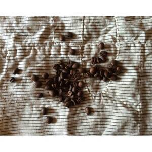 tangoの自家焙煎コーヒードリップバッグ　15個セット【1493217】