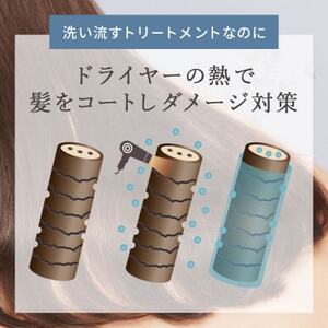 【3本セット】ドライヤーの熱でダメージ補修　モイスチャートリートメント[LULUNA]ルルーナ【1611734】