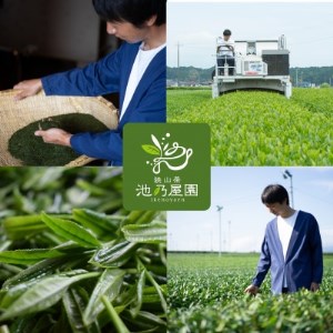 老舗農家の茶畑からの贈り物 深蒸し狭山茶B (80g×5袋)【1297787】