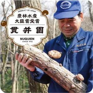 【訳あり】生産者直送! 貫井園の原木生しいたけ サイズおまかせ　約1.3kg【配送不可地域：離島】【1369008】