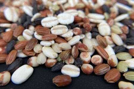 オリジナルブレンド 五穀米 7個（計1,050g・各150g）