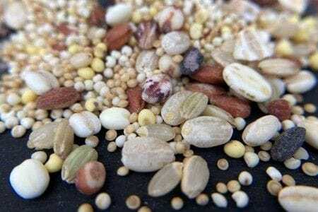 五穀米 十五穀米 2種4個セット（計900g）