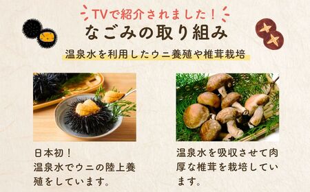 温浴施設なごみ 入館券 2枚 | 温浴施設 温泉