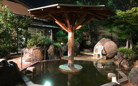 温浴施設なごみ 入館券 10枚 | 温浴施設 温泉