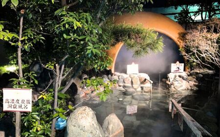 温浴施設なごみ 入館券 10枚 | 温浴施設 温泉