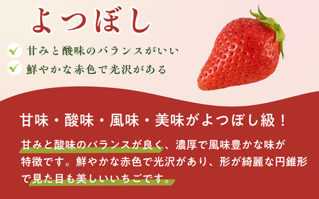 いちご 2種類 食べ比べ 1箱 2パック いちご 苺
