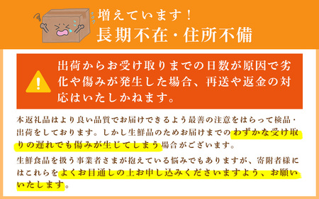 【先行予約】【期間限定 4月～5月まで】あまりん2パックセット 1箱(270g×2パック)| 埼玉県 久喜市  あまりん イチゴ 苺 ストロベリー いちご 食べ比べ