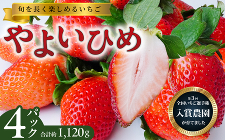 やよいひめ 280g×4パック | いちご イチゴ いちご