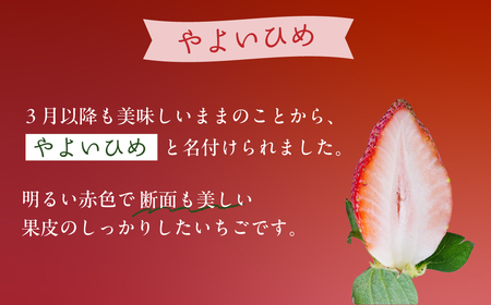 やよいひめ 280g×4パック | いちご イチゴ いちご