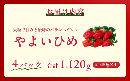やよいひめ 280g×4パック | いちご イチゴ いちご