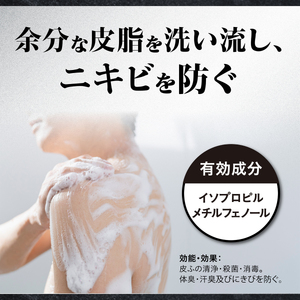 【ボディーソープ】エージーデオ24メン 薬用メンズボディクレンズ 本体＋つめかえ用2個/合計3個 | メンズ メンズ用ボディーソープ 