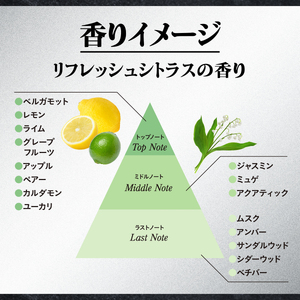 【ボディーソープ】エージーデオ24メン 薬用メンズボディクレンズ 本体＋つめかえ用2個/合計3個 | メンズ メンズ用ボディーソープ 