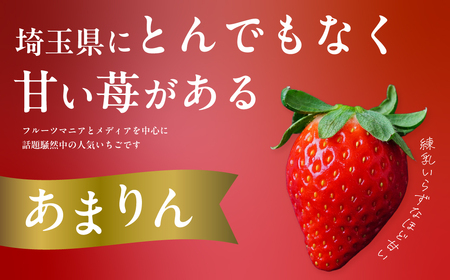 いちご あまりん 250g×2P あまりん 埼玉県 久喜市