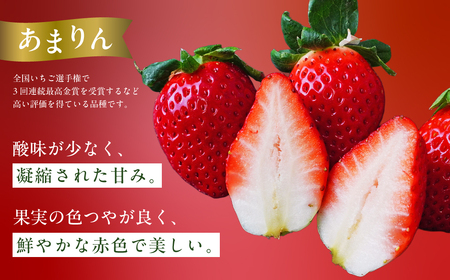 いちご あまりん 250g×2P あまりん 埼玉県 久喜市