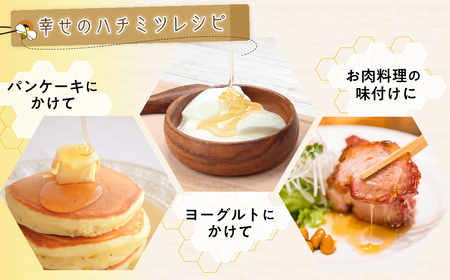 【はちみつ】はちみつ 幸せの黄金ハチミツ 50g 久喜市 埼玉県