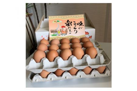 彩たまご うみたてたまご50個入り 化粧箱 80サイズ【養鶏場直送 卵 たまご 新鮮 卵 たまご】