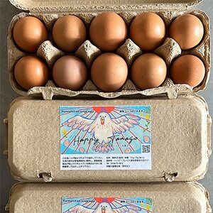 【毎月定期便】ハッピープレイスの 自然卵「ハッピーたまご」40個入り×3ヶ月(全3回)【配送不可地域：離島】【4011497】