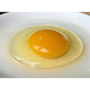 【毎月定期便】自然卵【ハッピーコッコちゃんたまご】20個入り(全3回)【配送不可地域：離島】【4012333】