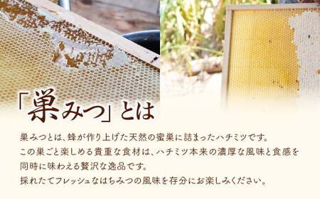 国産 はちみつ 巣みつ入り 百花蜜300g×1瓶 | 巣蜜 コムハニー 根津養蜂園