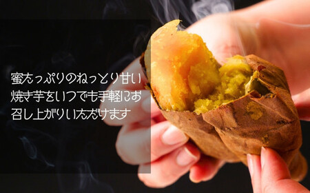 冷凍焼き芋 紅はるか 3パック(1.5kg) | 焼き芋 冷凍 紅はるか B.T.FARM