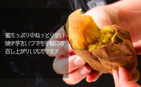 冷凍焼き芋 紅はるか 5パック(2.5kg) | 焼き芋 冷凍 紅はるか B.T.FARM